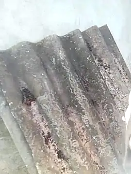 Melylyna's cam snapshot