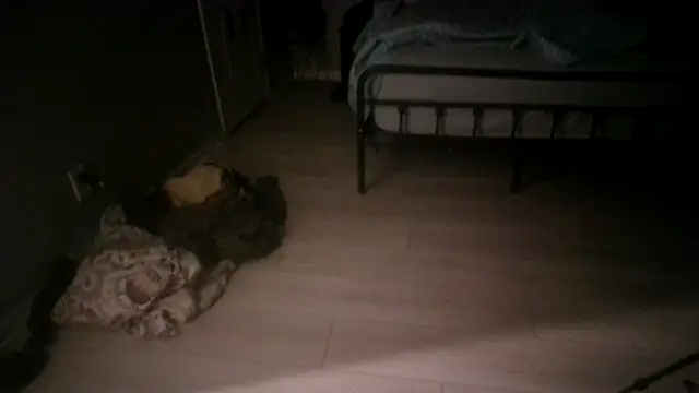 TheGrudge206 live sex cam