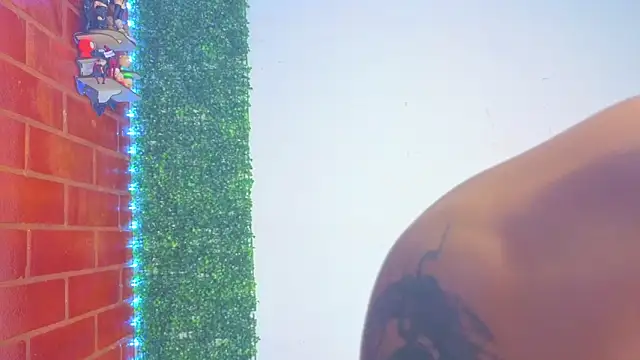 Demitryo's cam snapshot