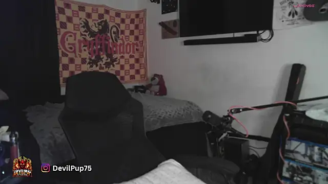 DevilPup75_'s cam snapshot