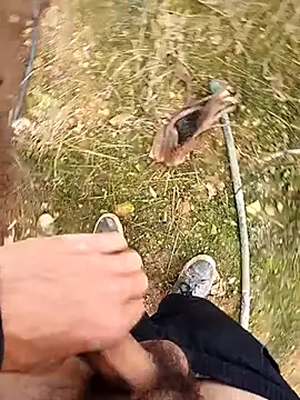 Sikici0734's cam snapshot