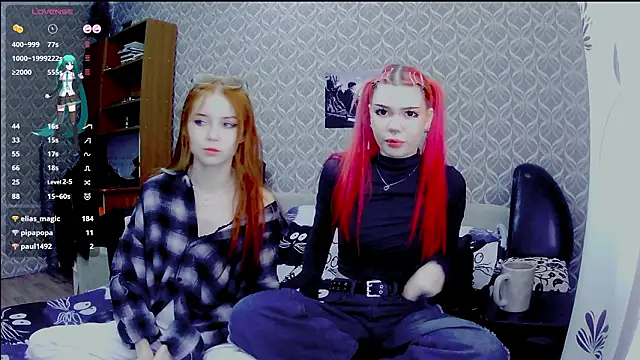 Veldenga's cam snapshot