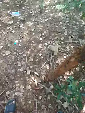 rameshmry1 live sex cam