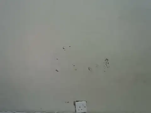 Rasta_tattooed live sex cam