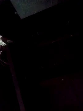 bella-la live sex cam