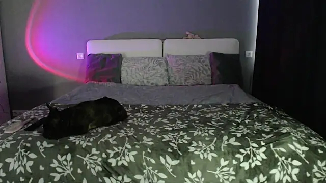 Reyleys's cam snapshot