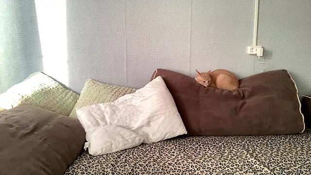 Emmibrilson's cam snapshot