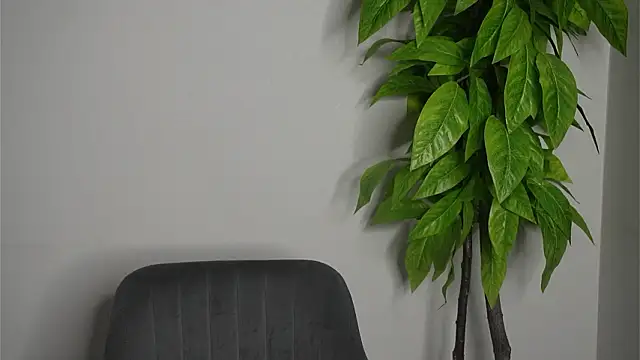 PatriaKeppler's cam snapshot