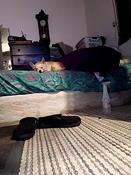 bimexpoexist's cam snapshot