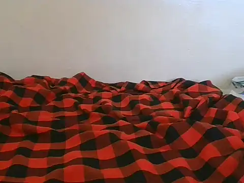 Switdarling's cam snapshot