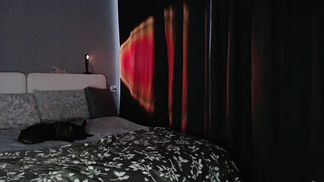 Reyleys's cam snapshot