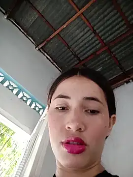 -Nicol's cam snapshot