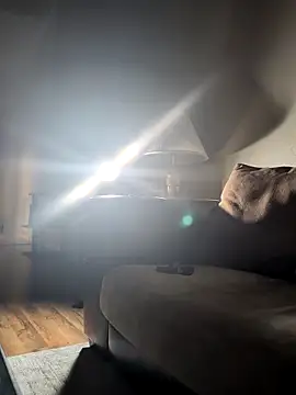 curtisblakecook87's cam snapshot