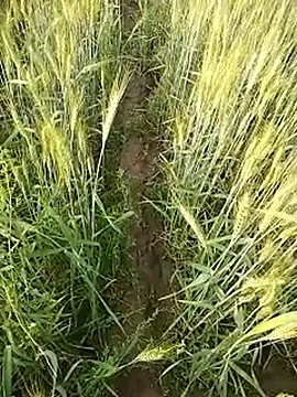 hornycouple20000's cam snapshot