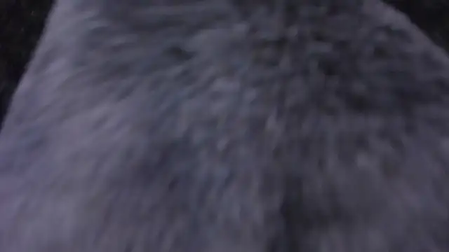 aprilalen live sex cam