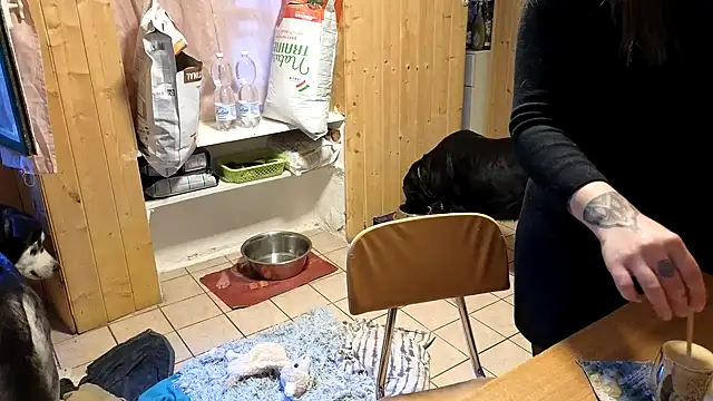 VanessaDoyle live sex cam