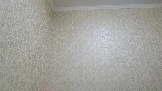 TrueViva live sex cam