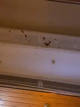 Petebulimia live sex cam