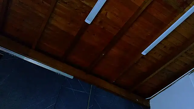 ALANNFERRER's cam snapshot