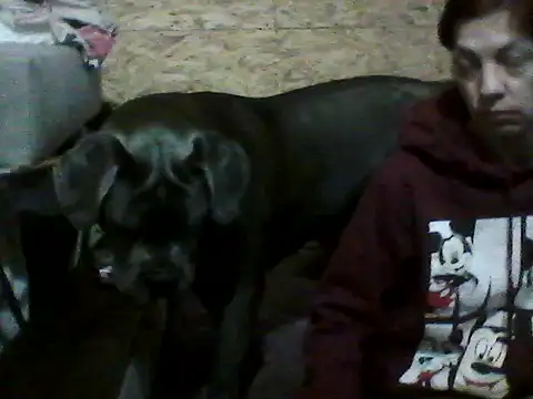 Milana38's cam snapshot