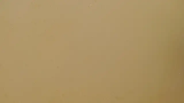 valkahot20's cam snapshot