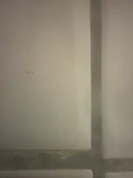 orient_zob live sex cam