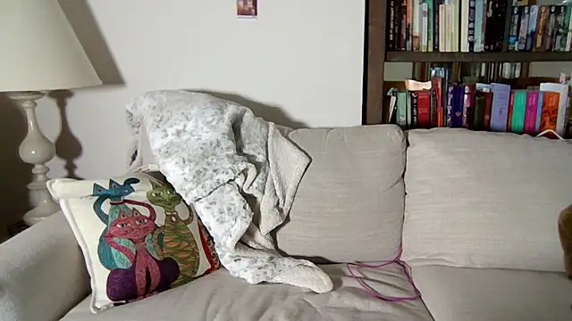 skywinters's cam snapshot