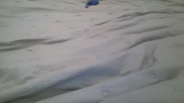 Molly_97's cam snapshot