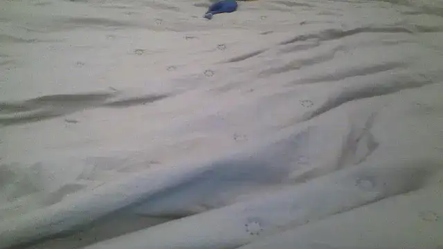 Molly_97's cam snapshot