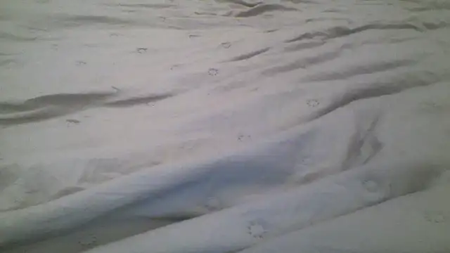 Molly_97's cam snapshot