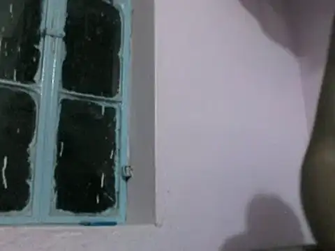 lallantoplonda's cam snapshot