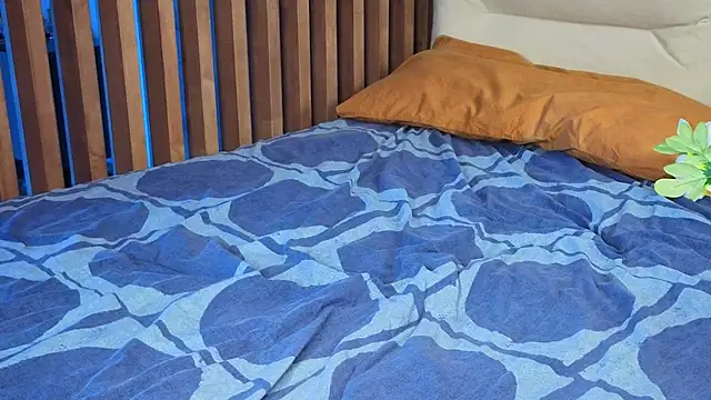 accept_cookie's cam snapshot