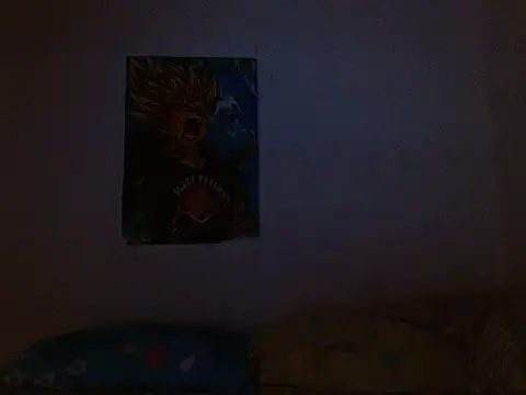 Arieeel_09's cam snapshot