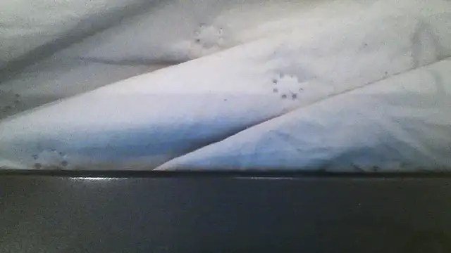 Molly_97 live sex cam