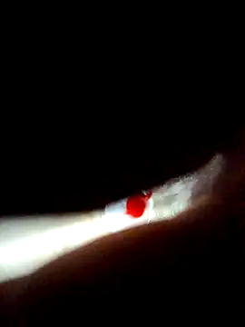 Megh_Best's cam snapshot