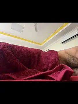 SatBull007 live sex cam