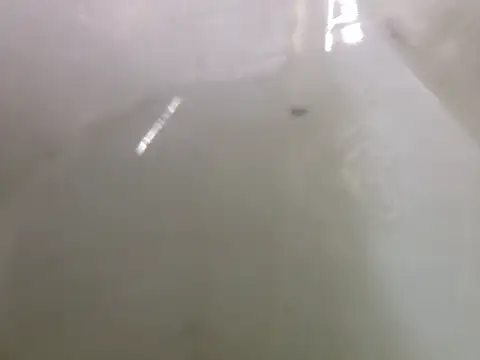 BustedCall's cam snapshot