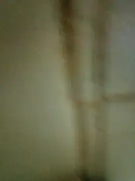 Tiago0031 live sex cam