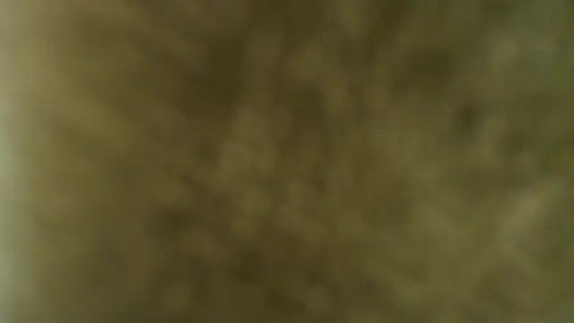 sofia_nova_tf's cam snapshot