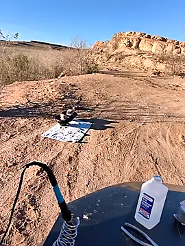 FloppyPickle4u live sex cam