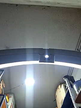 Niidia's cam snapshot