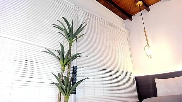 StacyRigel live sex cam