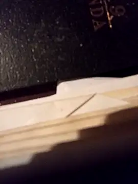 gatitachula93's cam snapshot