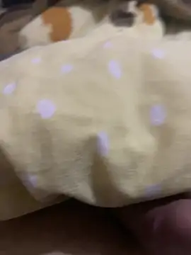 comokalii live sex cam