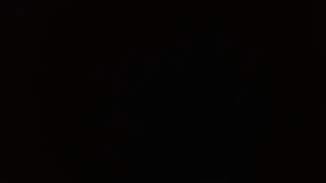 dimpyi's cam snapshot