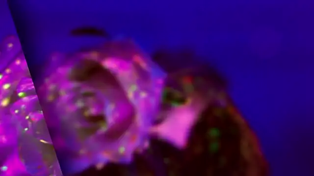 HeyBananas live sex cam