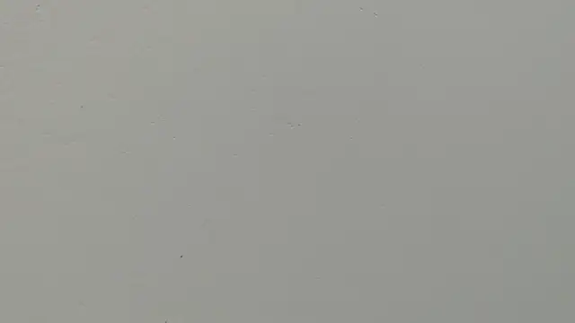 lisbethorney18's cam snapshot