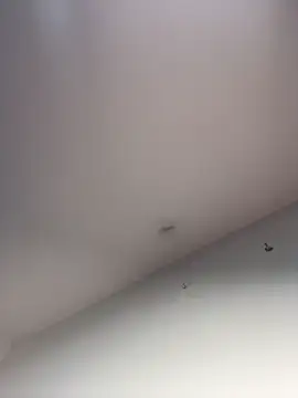 samy_0107's cam snapshot