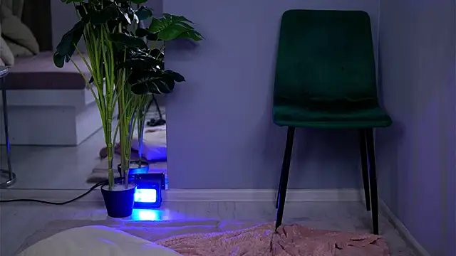 CrystalMo0n's cam snapshot