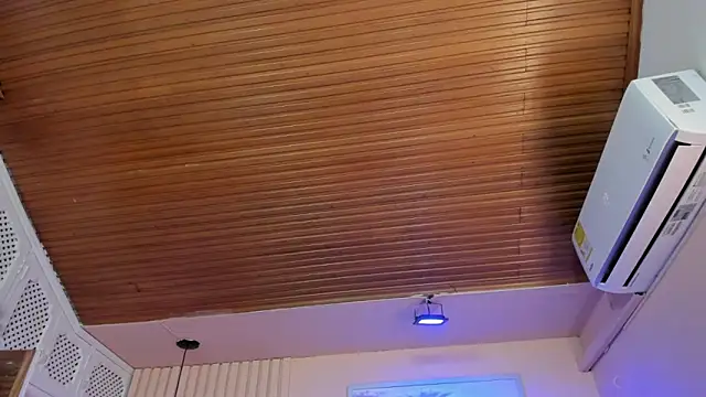 viiolett_lee live sex cam